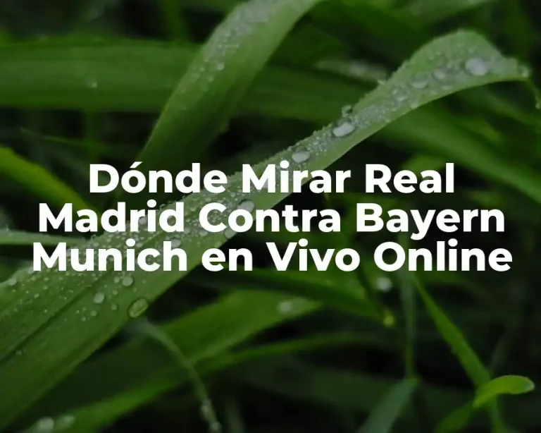 Dónde Mirar Real Madrid Contra Bayern Munich en Vivo Online