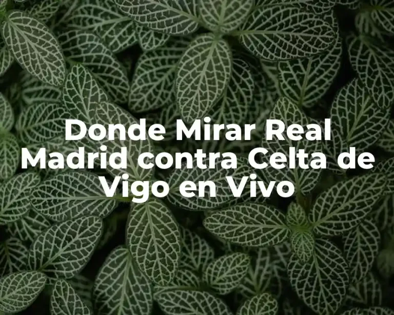 Donde Mirar Real Madrid contra Celta de Vigo en Vivo