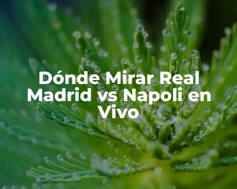 Dónde Mirar Real Madrid vs Napoli en Vivo