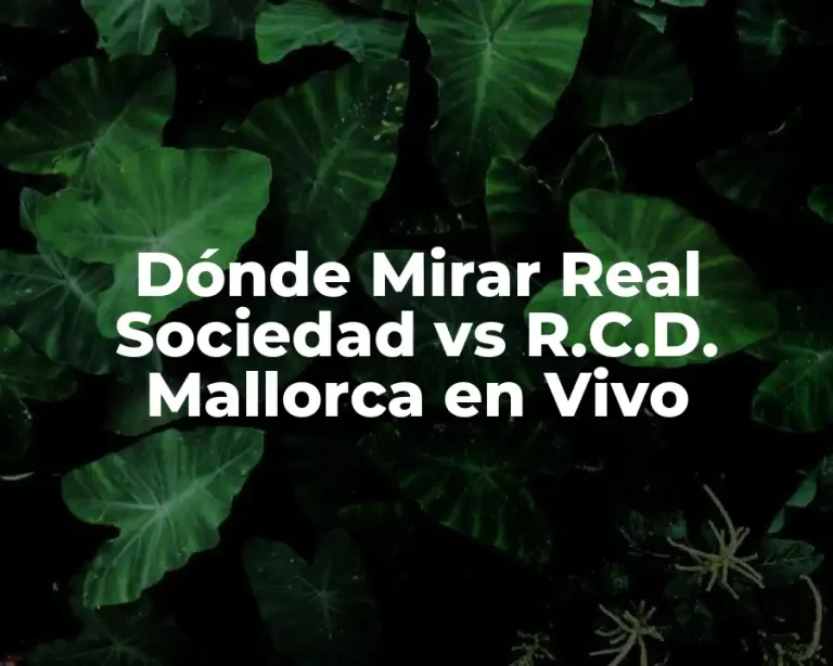 Dónde Mirar Real Sociedad vs R.C.D. Mallorca en Vivo