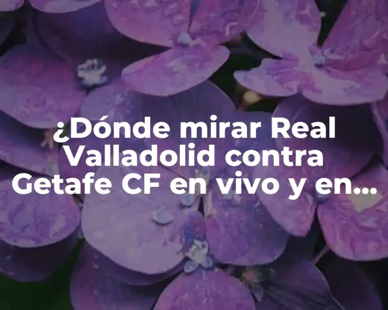 ¿Dónde mirar Real Valladolid contra Getafe CF en vivo y en directo?