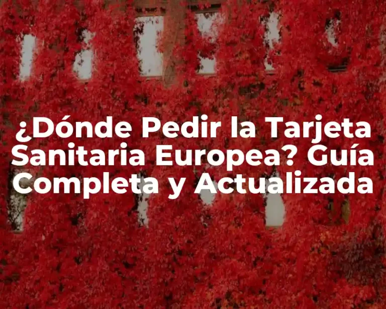¿Dónde Pedir la Tarjeta Sanitaria Europea? Guía Completa y Actualizada