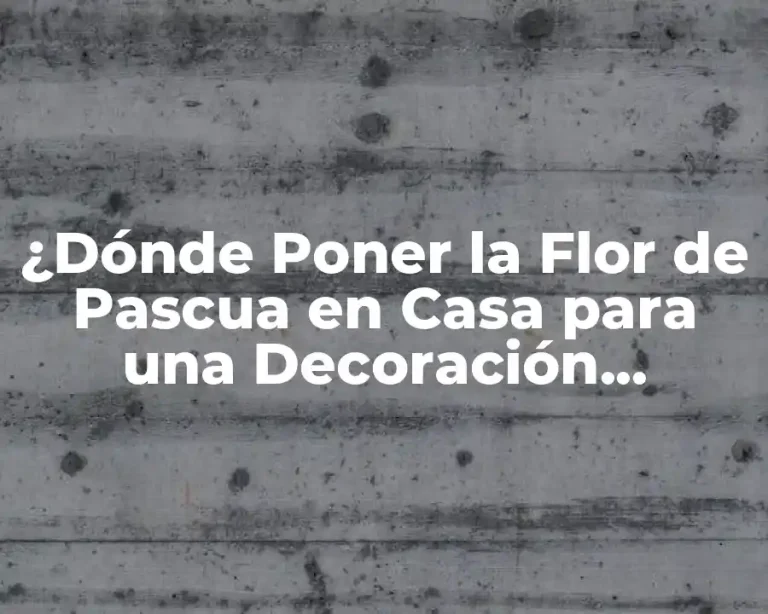 ¿Dónde Poner la Flor de Pascua en Casa para una Decoración Perfecta?