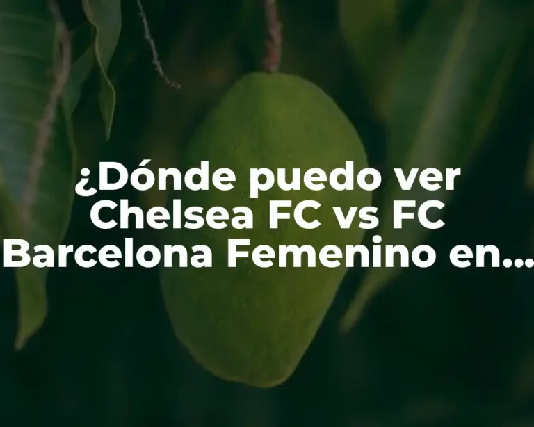 ¿Dónde puedo ver Chelsea FC vs FC Barcelona Femenino en vivo?