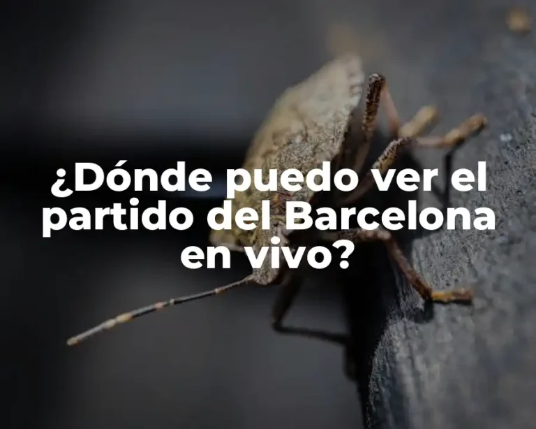 ¿Dónde puedo ver el partido del Barcelona en vivo?