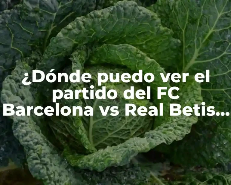 ¿Dónde puedo ver el partido del FC Barcelona vs Real Betis en vivo?