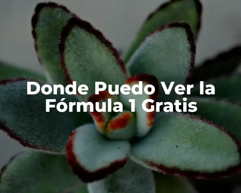 Donde Puedo Ver la Fórmula 1 Gratis