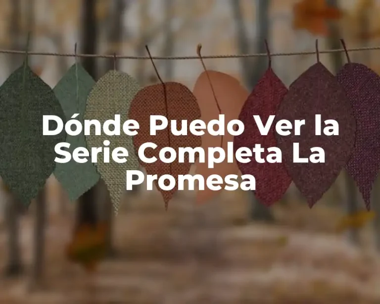 Dónde Puedo Ver la Serie Completa La Promesa