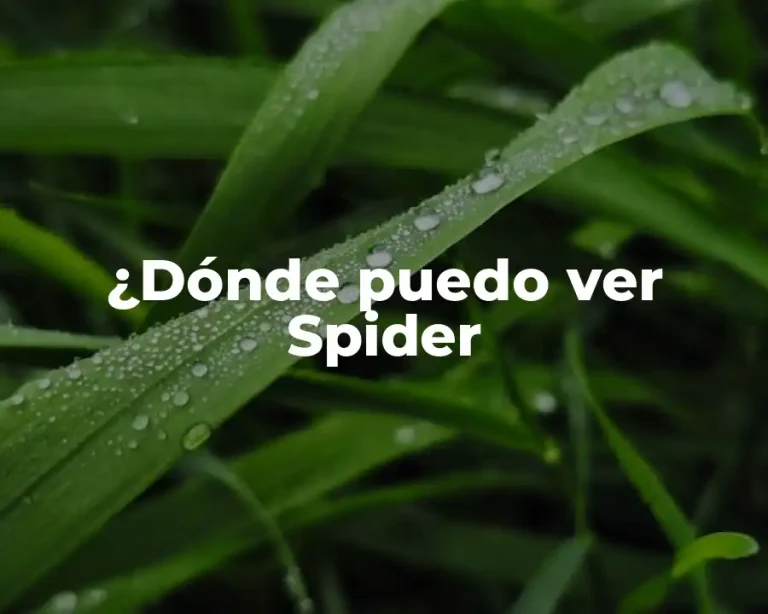¿Dónde puedo ver Spider