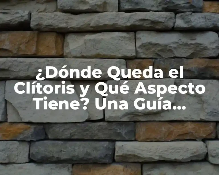 ¿Dónde Queda el Clítoris y Qué Aspecto Tiene? Una Guía Completa