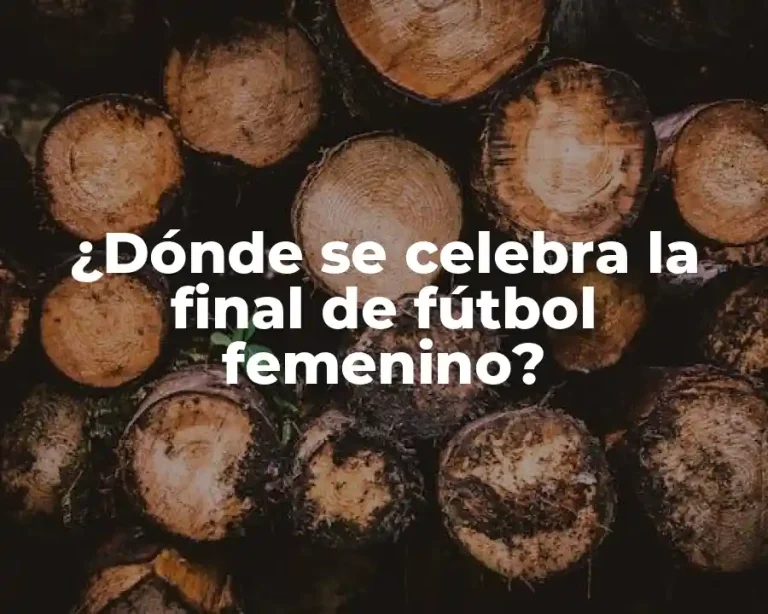 ¿Dónde se celebra la final de fútbol femenino?