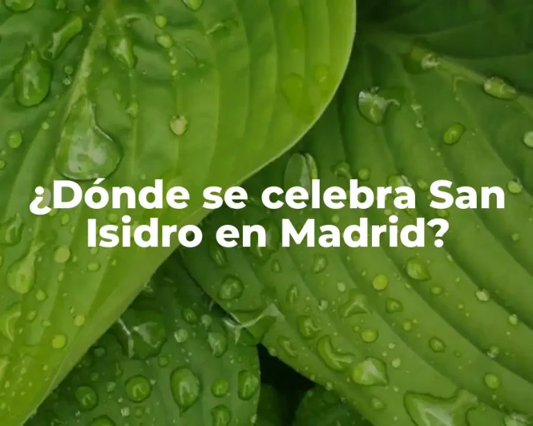 ¿Dónde se celebra San Isidro en Madrid?