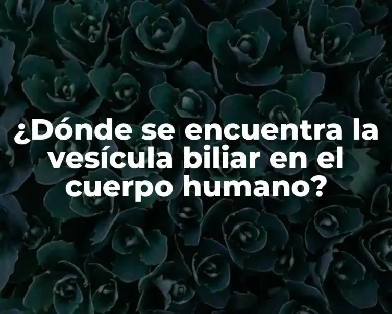 ¿Dónde se encuentra la vesícula biliar en el cuerpo humano?