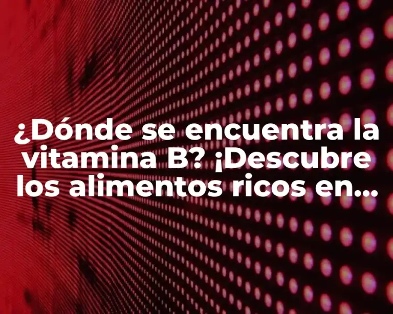 ¿Dónde se encuentra la vitamina B? ¡Descubre los alimentos ricos en vitamina B!