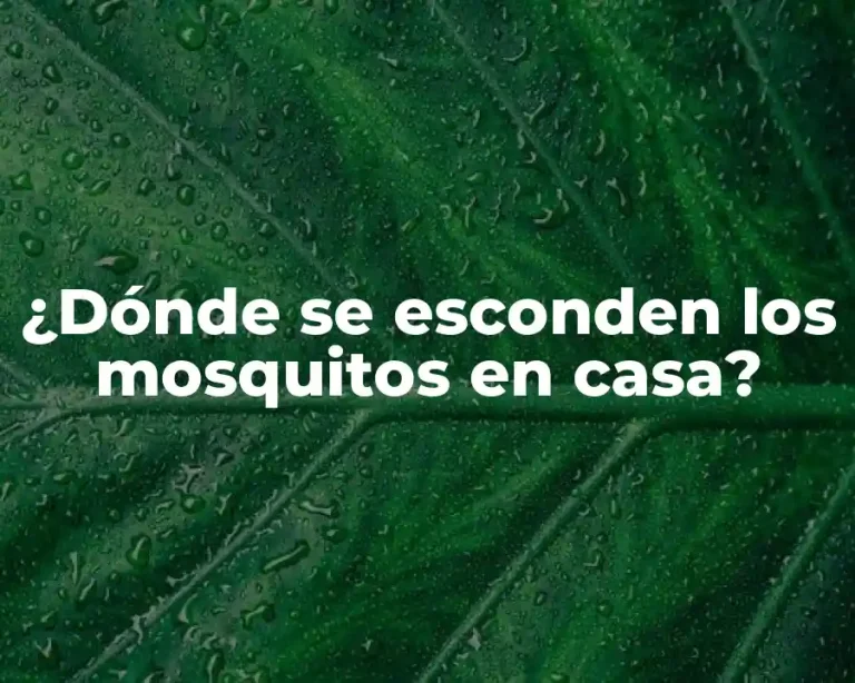 ¿Dónde se esconden los mosquitos en casa?