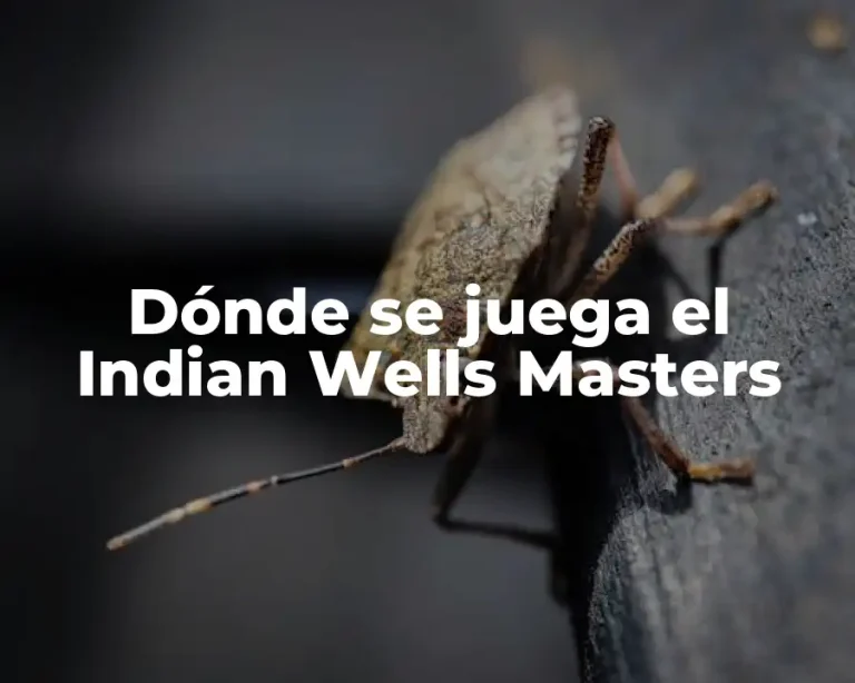 Dónde se juega el Indian Wells Masters