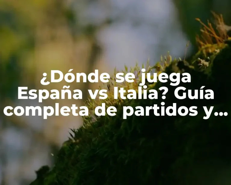 ¿Dónde se juega España vs Italia? Guía completa de partidos y estadios