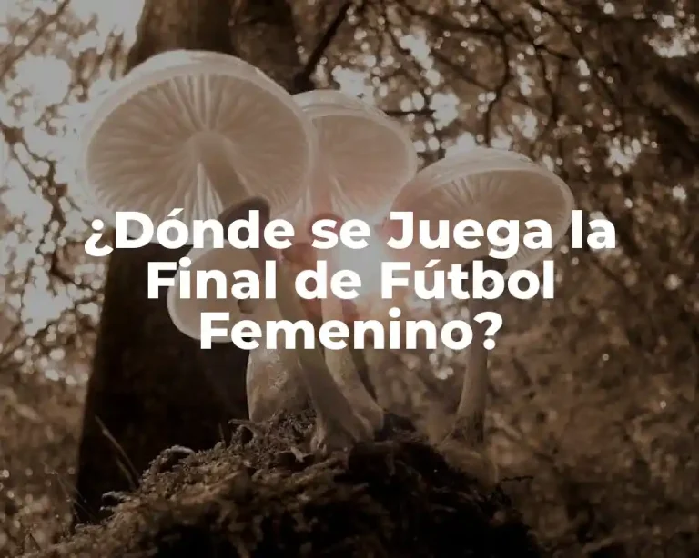 ¿Dónde se Juega la Final de Fútbol Femenino?