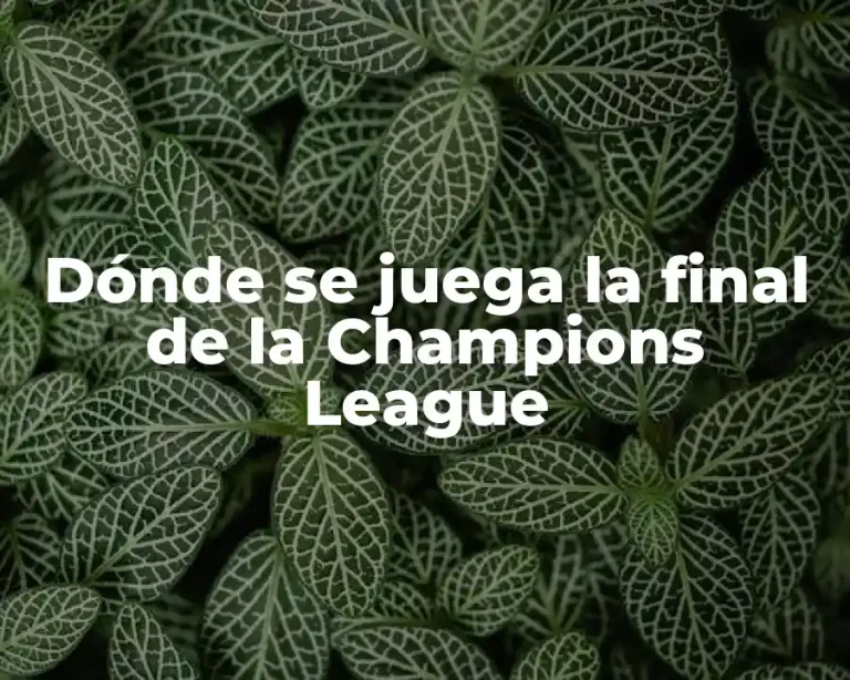 Dónde se juega la final de la Champions League