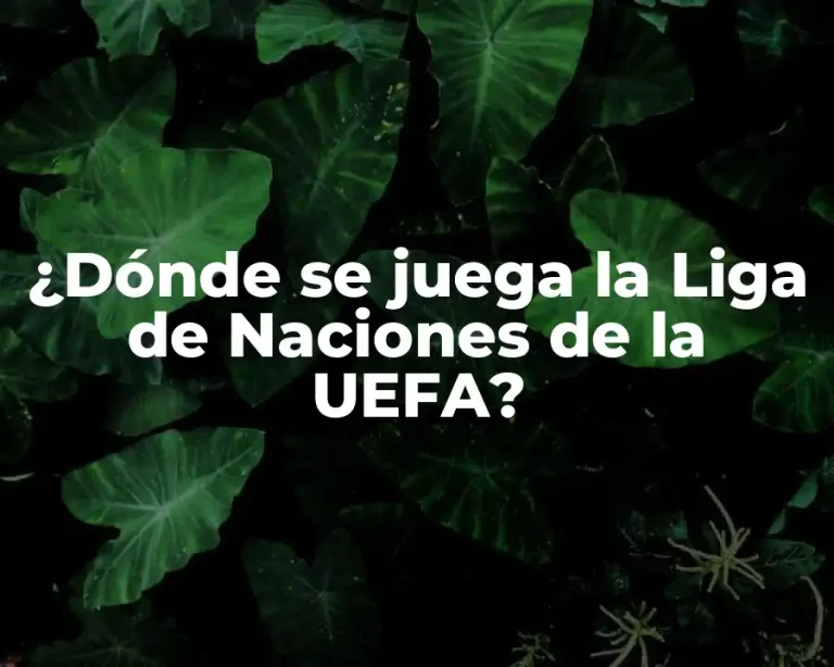 ¿Dónde se juega la Liga de Naciones de la UEFA?