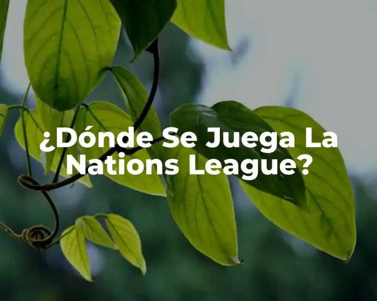 ¿Dónde Se Juega La Nations League?