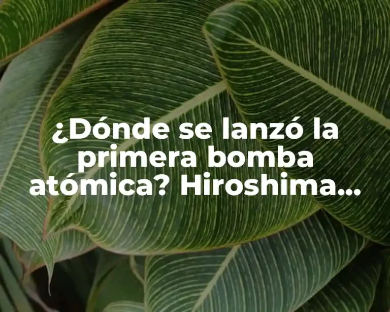 ¿Dónde se lanzó la primera bomba atómica? Hiroshima, una fecha histórica