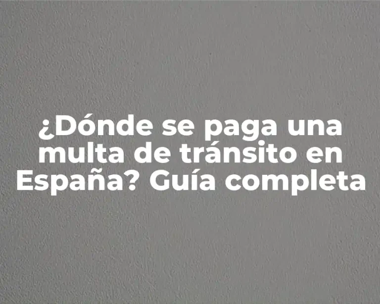 ¿Dónde se paga una multa de tránsito en España? Guía completa