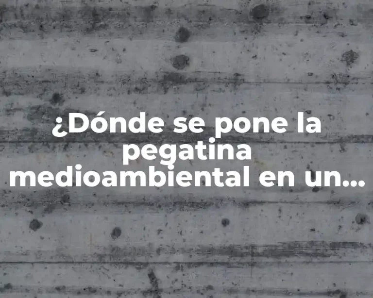 ¿Dónde se pone la pegatina medioambiental en un producto? Guía completa