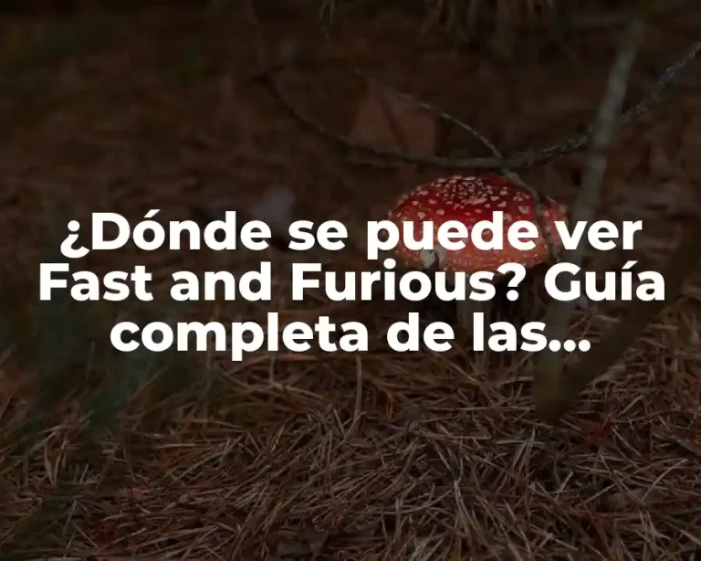 ¿Dónde se puede ver Fast and Furious? Guía completa de las películas y plataformas