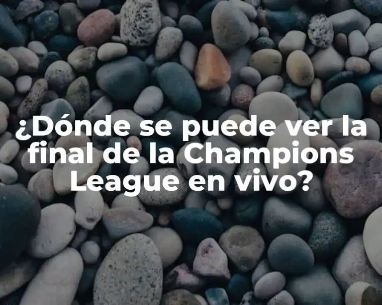 ¿Dónde se puede ver la final de la Champions League en vivo?