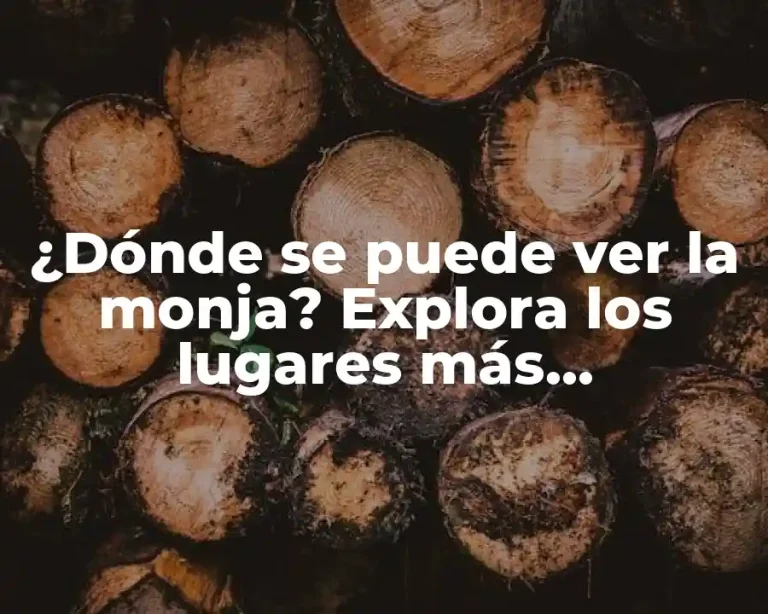 ¿Dónde se puede ver la monja? Explora los lugares más emblemáticos