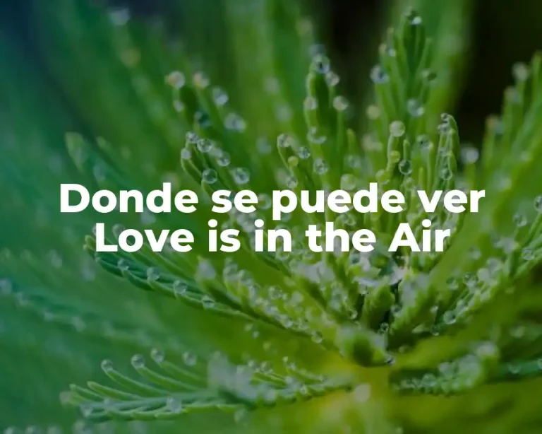 Donde se puede ver Love is in the Air