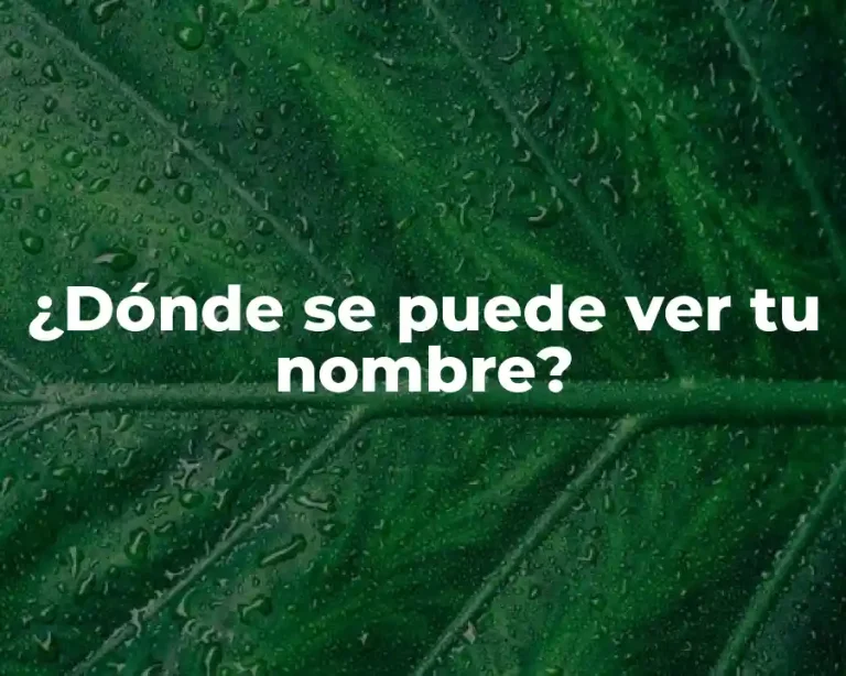 ¿Dónde se puede ver tu nombre?