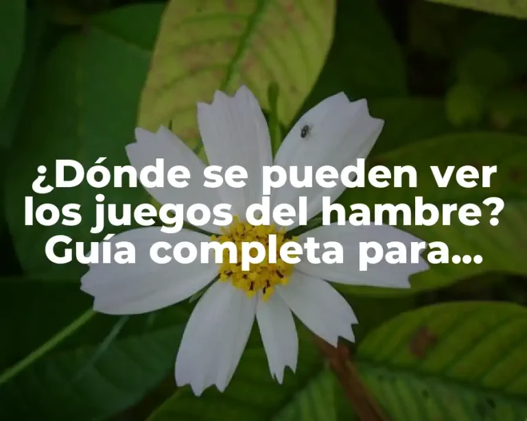 ¿Dónde se pueden ver los juegos del hambre? Guía completa para disfrutar de la saga