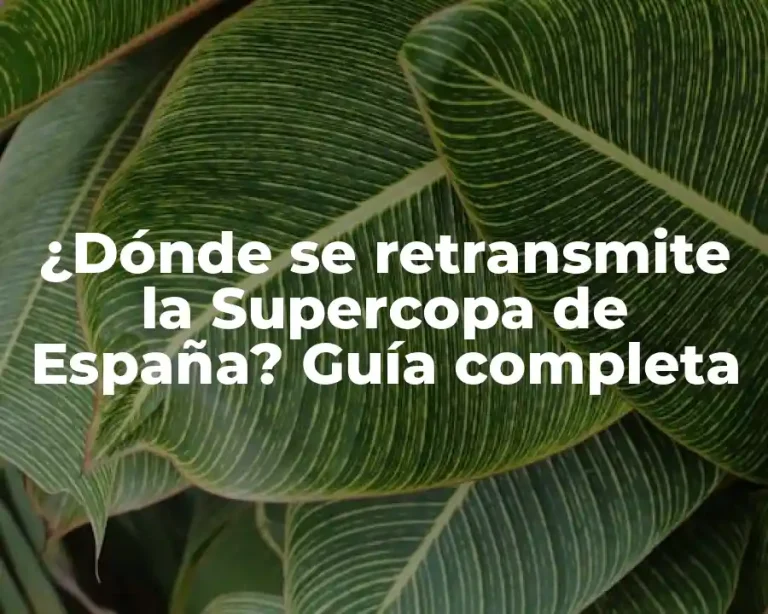 ¿Dónde se retransmite la Supercopa de España? Guía completa