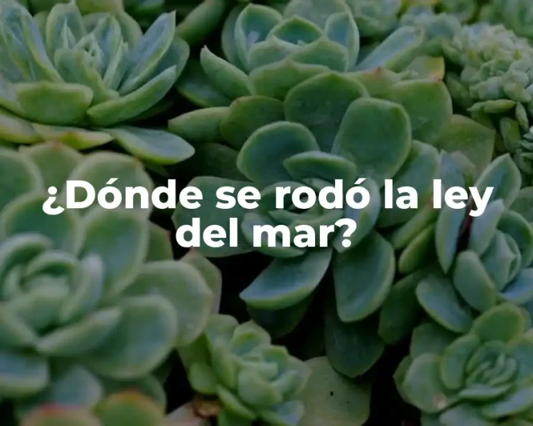 ¿Dónde se rodó la ley del mar?