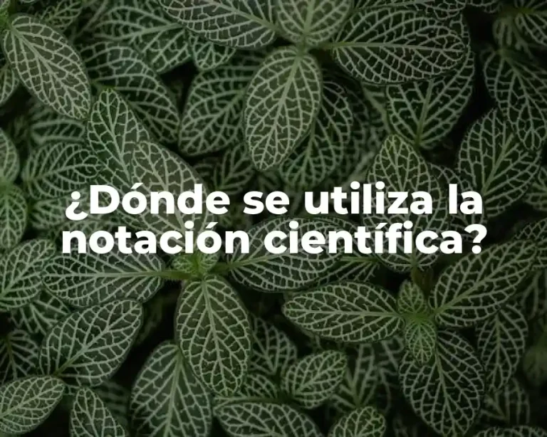 ¿Dónde se utiliza la notación científica?