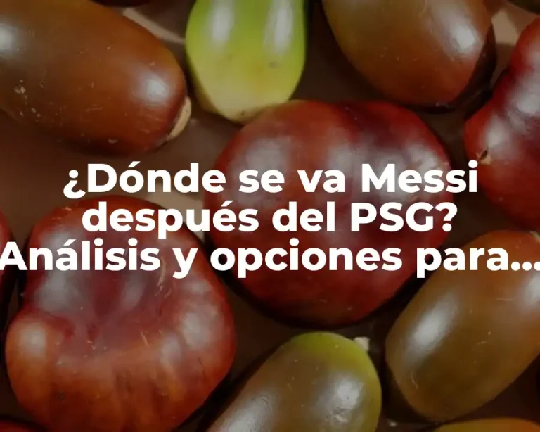 ¿Dónde se va Messi después del PSG? Análisis y opciones para el futuro del astro argentino