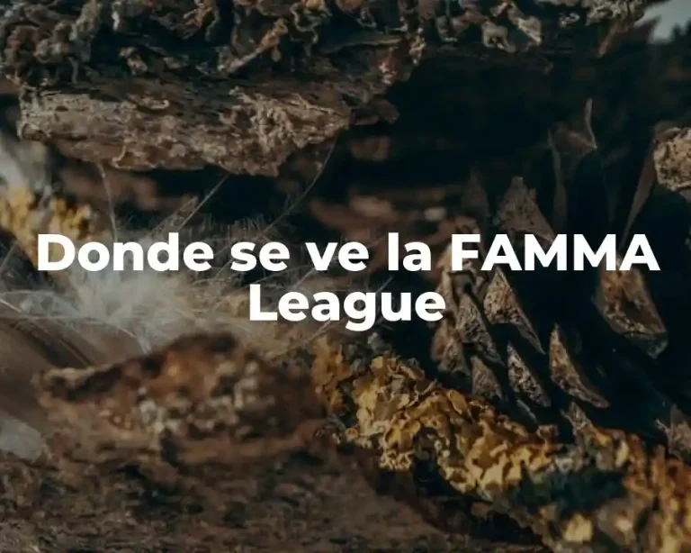 Donde se ve la FAMMA League
