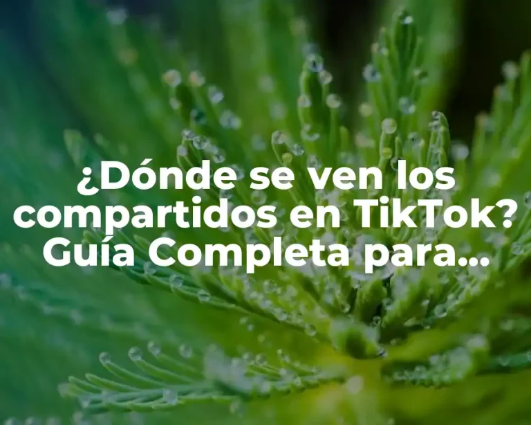¿Dónde se ven los compartidos en TikTok? Guía Completa para Entender las Interacciones en la Plataforma