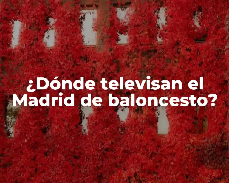 ¿Dónde televisan el Madrid de baloncesto?