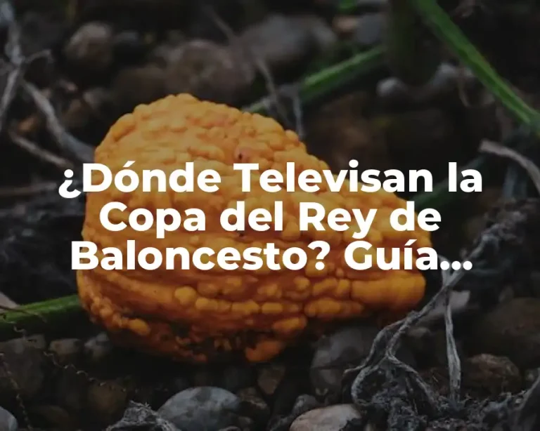 ¿Dónde Televisan la Copa del Rey de Baloncesto? Guía Completa de Canales y Horarios