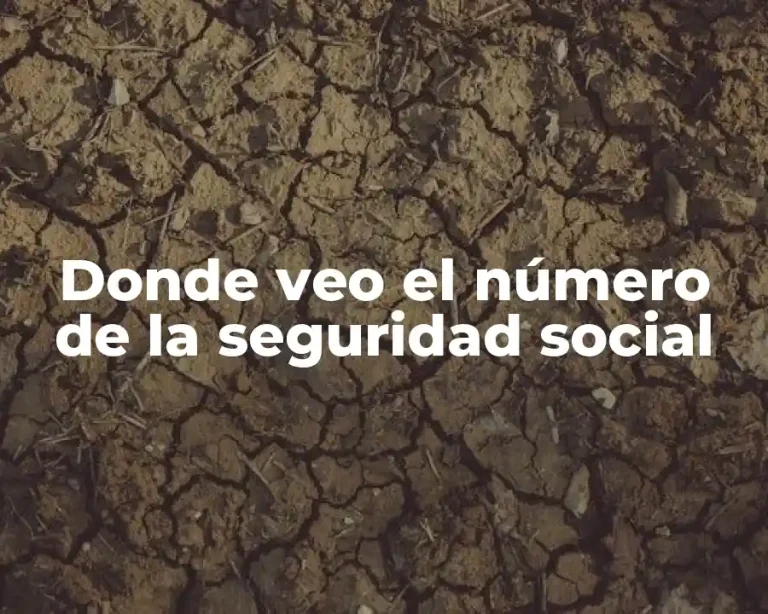 Donde veo el número de la seguridad social