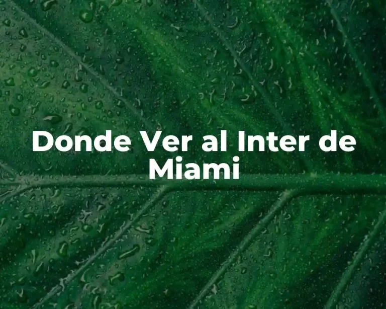 Donde Ver al Inter de Miami
