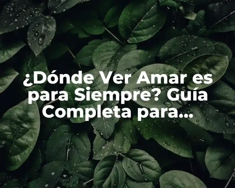 ¿Dónde Ver Amar es para Siempre? Guía Completa para Encontrar tu Serie Favorita