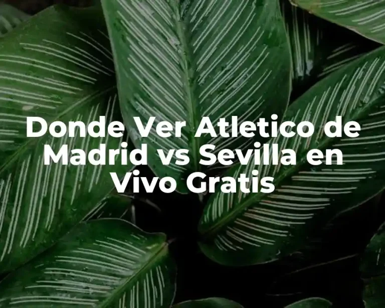 Donde Ver Atletico de Madrid vs Sevilla en Vivo Gratis
