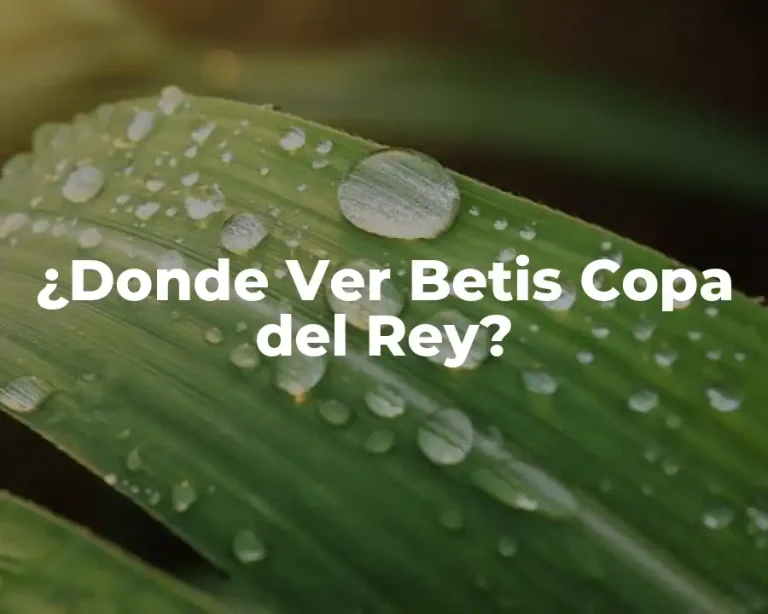 ¿Donde Ver Betis Copa del Rey?