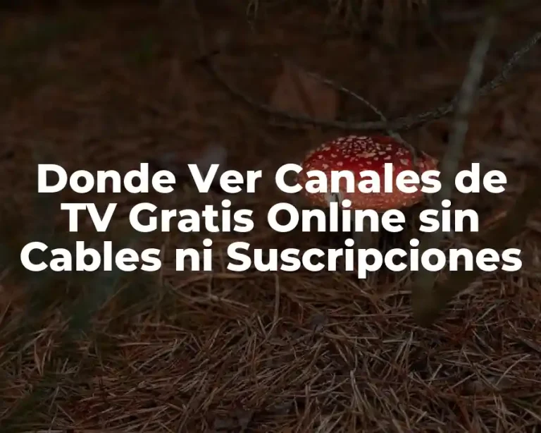 Donde Ver Canales de TV Gratis Online sin Cables ni Suscripciones