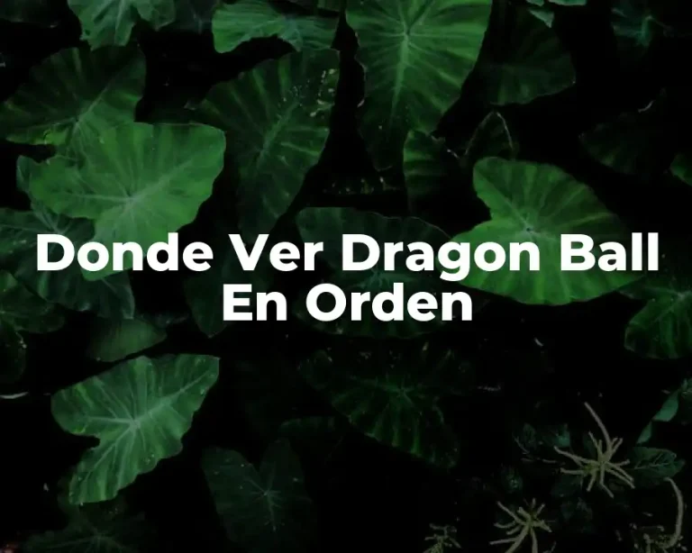 Donde Ver Dragon Ball En Orden