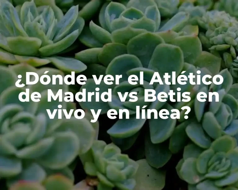 ¿Dónde ver el Atlético de Madrid vs Betis en vivo y en línea?